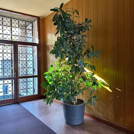 Ponchielli Loft * Bergame