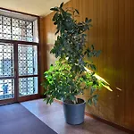 Ponchielli Loft * بيرغامو