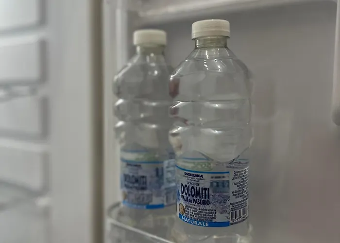 Ponchielli Loft アパート ベルガモ